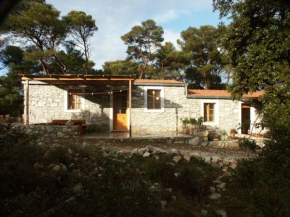 Apartments by the sea Pomena, Mljet - 614